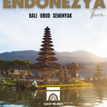 ENDONEZYA BALI & UBUD TURU